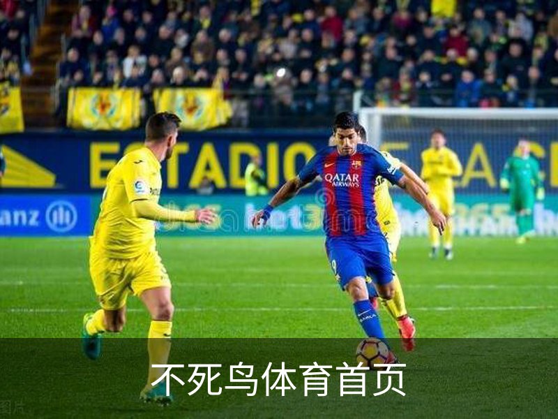 不死鸟体育首页 - 体育场地网页版在线登录入口
