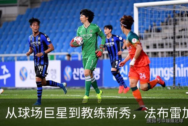 从球场巨星到教练新秀，法布雷加斯引领科莫逆袭之路